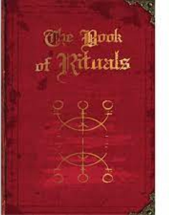 Afbeelding van het spel The book of rituals