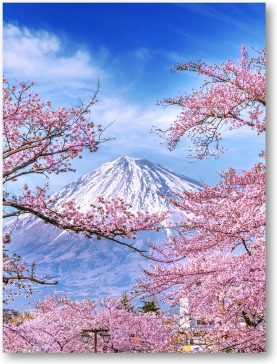 Fuji-berg en kersenbloesems in de lente, Japan - 30x40 Dibond voor Binnen én Buiten - Besteposter - Landschap