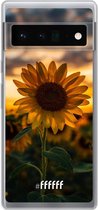 6F hoesje - geschikt voor Google Pixel 6 Pro -  Transparant TPU Case - Sunset Sunflower #ffffff