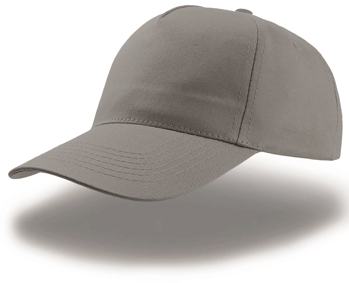 Pet - grey - 1 stuk -