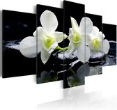 Schilderij - Melancholic orchids.