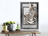 Zebra in the Frame.