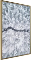 Winter Forest From a Bird's Eye View