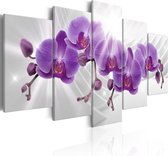 Schilderij - Abstract Garden: Purple Orchis.