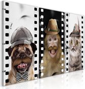 Schilderij - Funny Pets (Collection).