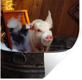 Stickers Stickers muraux - Cochon lavé - 30x30 cm - Feuille adhésive