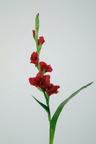 Kunstbloem - Gladiolus - topkwaliteit decoratie - 2 stuks - zijden bloem - Donkerrood - 97 cm hoog