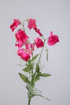 Kunstbloem - Lathyrus -  pronkerwten - topkwaliteit decoratie - 2 stuks - zijden bloem - Fuchsia - Cerise - 70 cm hoog