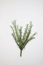 Kunstplant- zeewier - groen bossen - topkwaliteit decoratie - 2 stuks - zijden boeket - Groen - 36 cm hoog