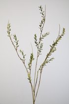 Kunsttak - Aglaia Odorata - topkwaliteit decoratie - 2 stuks - zijden plant - Groen - 76 cm hoog