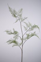 Kunsttak - Asparagus - topkwaliteit decoratie - 2 stuks - zijden kunsttak- Groen - 105 cm hoog