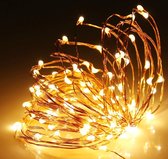 Gekleurde LED Haarlampjes Warm Wit (2 meter 20 LED) • Carnaval • Kerst • Trouwfeest • Warm Wit • Groen • Blauw • Wit • Rood • Roze • Multicolor • Paars
