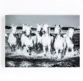 Art for the Home - Glass Art Print - Paarden in het Water - Zwart/Wit - 70x100