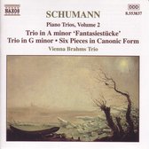 Vienna Brahms Trio - Schumann: Piano Trios Volume 2 (CD)