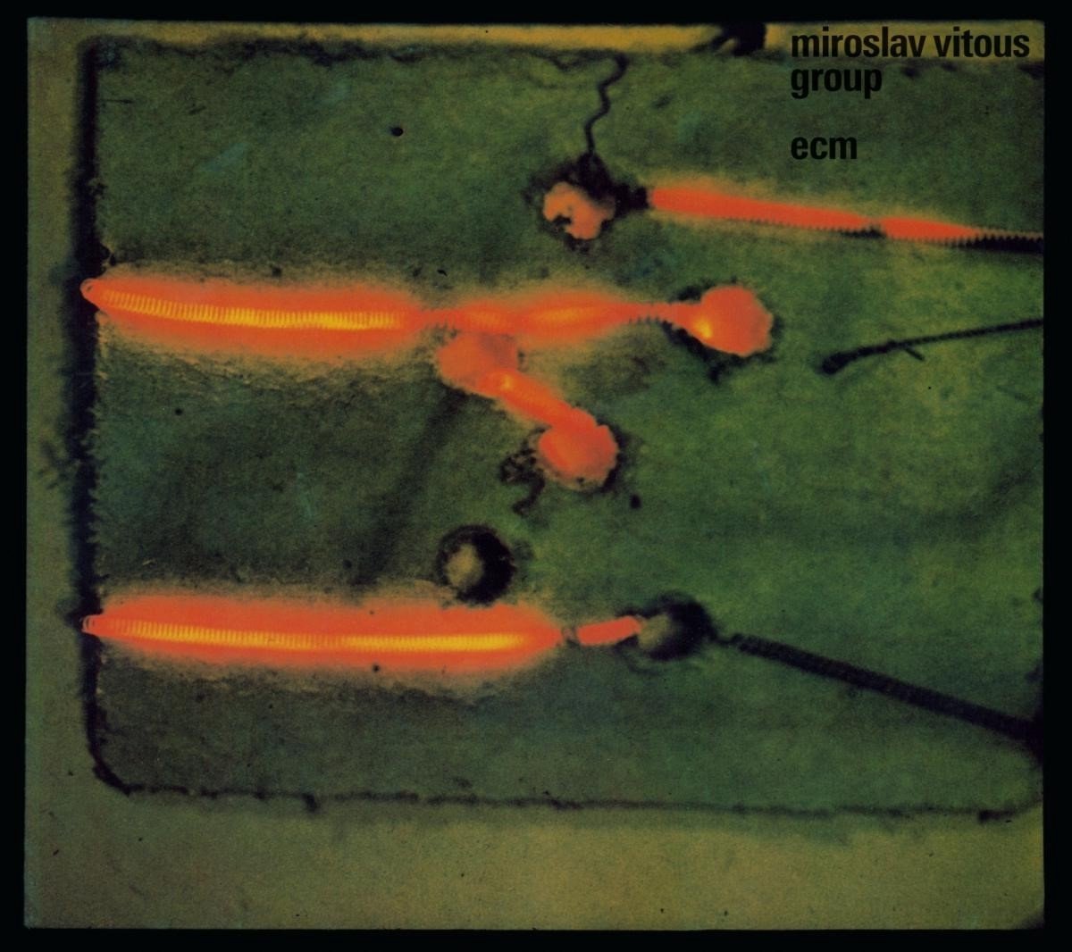 Miroslav Vitous Group - Miroslav Vitous Group (2 LP)