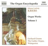 Gerhard Gnann - Organ Works Volume 1 (CD)