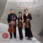 Serena McKinney - Katie Kadarauch - Arnold Choi - Young Beethoven: String Trio En Do Minor (LP)