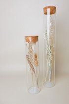 Glazen cilinder set met droogbloemen