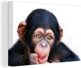 Tableau sur toile Gros plan singe chimpanzé sur fond blanc - 90x60 cm - Décoration murale Art