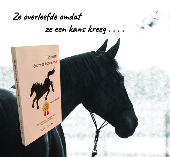 Het paard dat twee benen brak - cover
