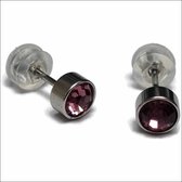 Aramat jewels ® - Zweerknopjes geboortesteen oorbellen februari licht paars chirurgisch staal 5mm