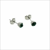Aramat jewels ® - Oorbellen groen kristal chirurgisch staal zilverkleurig 5mm dames