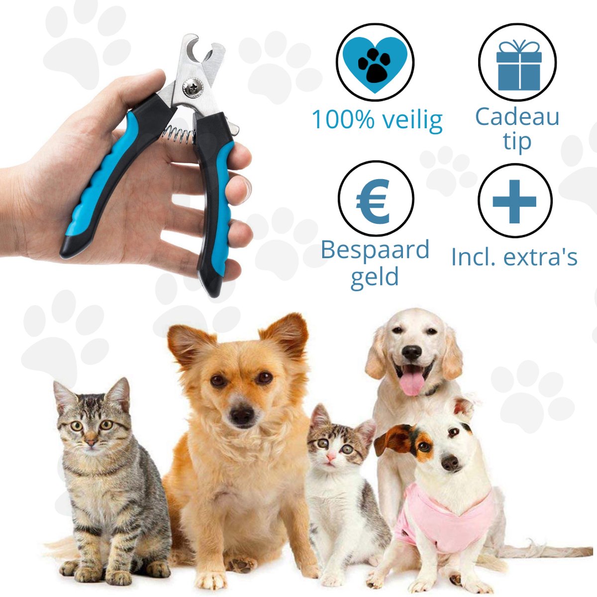 Krabplank voor honden, klauwschuurmachine hond met snoepdoos