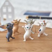 Luxe Set Dansende Katten - Cadeau - Speelgoed - Woondecoratie - Decoratieve Accessoires - Potlood Houder - Kat - 5 Stuks