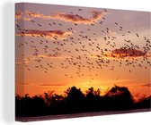 Tableau Peinture sur Toile Troupeau de Hérons sur la Rivière Tapajos, Brésil - 180x120 cm - Décoration murale XXL