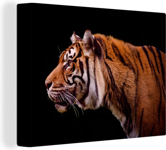 Canvas Schilderij Zijaanzicht van een tijger op een zwarte achtergrond - 80x60 cm - Wanddecoratie