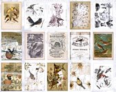 Papierset 60 Delig - Vogels Hobbypapier - B021 - Notitieblok met 15 Soorten x 4 Stuks - Papier Voor Bullet Journal, Scrapbook, Kaarten Maken - Hobby Papier Set 60 Stuks