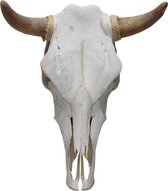 Western  decoratie runder skull stierenschedel nr 9 Mexico