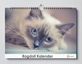 Ragdoll Verjaardagskalender | 35 X 24CM | Verjaardagskalender katten | Ragdoll | Verjaardagskalender Volwassenen