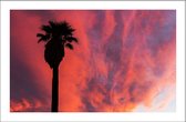 Walljar - Palmbomen en Roze Wolken - Muurdecoratie - Poster