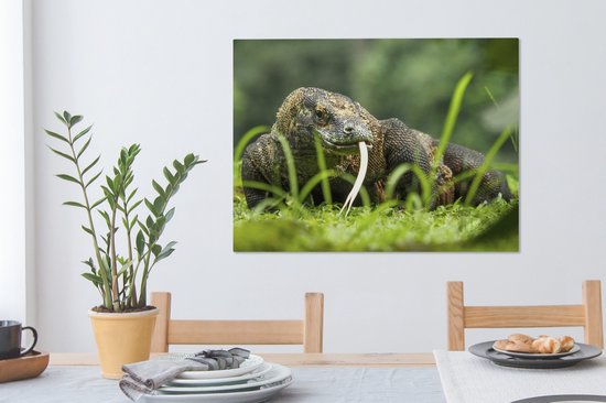 Tableau sur toile Dragon de Komodo se promenant - 80x60 cm - Décoration murale
