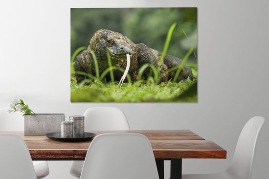 Tableau sur toile Dragon de Komodo se promenant - 80x60 cm - Décoration murale