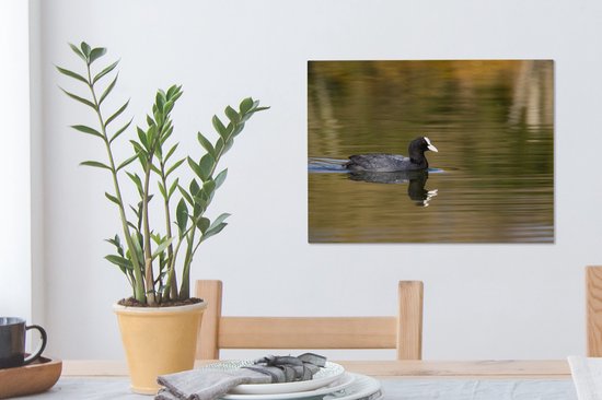 Tableau sur toile Foulque dans l'eau - 40x30 cm - Décoration murale