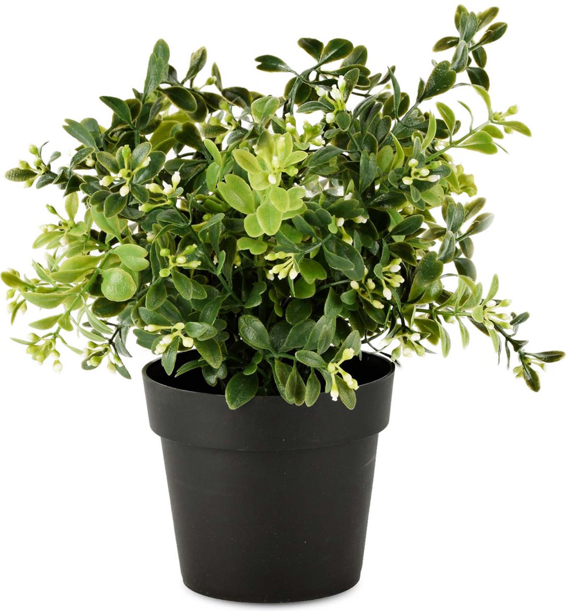 Bloempot groene plant - Groen / wit - 25 x 25 x 24 cm hoog. | bol.com