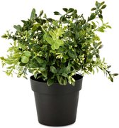 Bloempot groene plant - Groen / wit - 25 x 25 x 24 cm hoog.