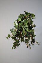 kunstplant - Grape ivy - Hedera- topkwaliteit plant - hangplant - groen - 49 cm hoog