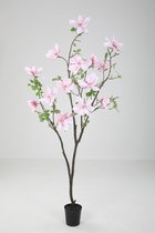 Magnolia plant - kantoorplant - zijdenplant - topkwaliteit kunstplant - 170 cm