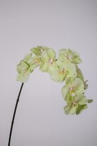 Kunstbloem - Orchidee - Big Phaleanopsis- topkwaliteit plant - 2 stuks - kamerplant - groen/wit - 114 cm hoog