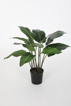 Anthurium kunstplant - plant in pot -  aronskelk - topkwaliteit plant - kamerplant 67 cm