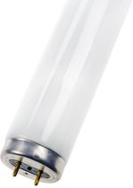 General ELectric Polylux XL F58W 827 2700K