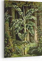 Schilderij op Canvas - Jungle - Louis Benoit Van Houtte - Bloemen en Planten - Wanddecoratie - 50 x 70 cm