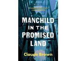 Manchild in the Promised Land