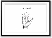 The hand zwart wit poster | line art anatomie | wanddecoratie | Liggend 30 x 21 cm