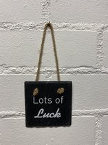 Deco leisteen met ophangkoordje - vierkant - Lots of luck - 10x10 cm - Woonaccessoires