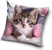 Kat, Kitten met Blauwe Ogen Sierkussens - Kussen - 40 x 40 inclusief vulling - Kussen van Polyester - KledingDroom®