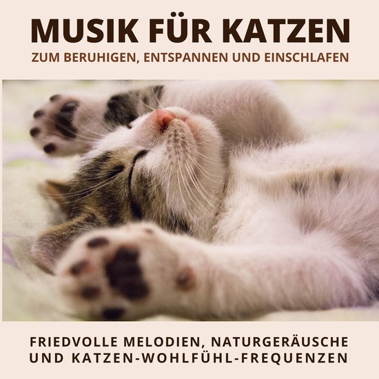 Musik für Katzen zum Beruhigen, Entspannen und Einschlafen - cover